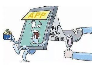 貝貝網(wǎng)信息安全漏洞引關(guān)注 用戶隱私風(fēng)險與網(wǎng)絡(luò)防護(hù)策略分析