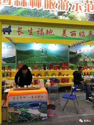 象棋山茶葉 回顧2018，展望2019——美麗山小緣分