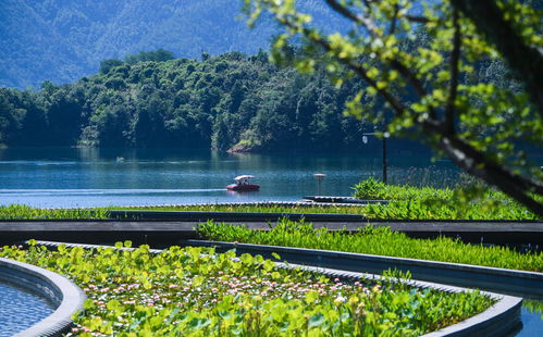 緣分跑過山 200到300，湖亂跑的報名費究竟觸動了誰的神經